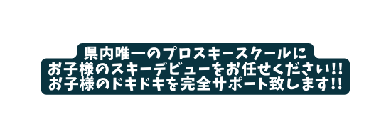 県内唯一のプロスキースクールに お子様のスキーデビューをお任せください お子様のドキドキを完全サポート致します
